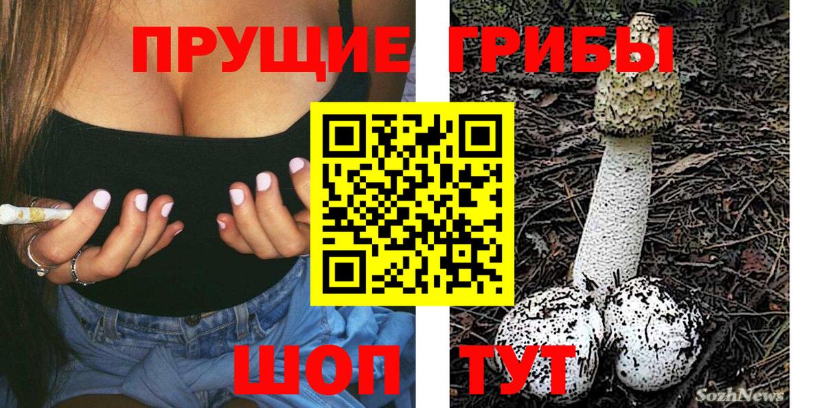 Галлюциногенные грибы мухоморы Луховицы