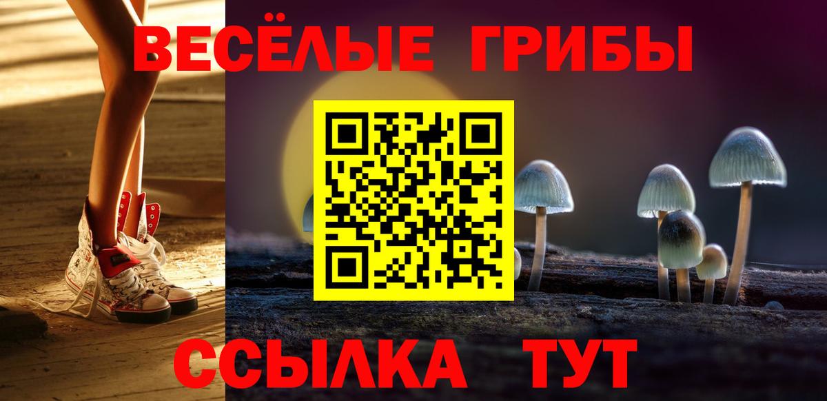Луховицы  Псилоцибиновые грибы мицелий  Вход с VPN 